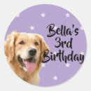 Search for pets stickers Dogs