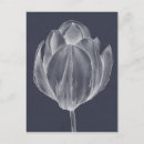 Search for graphics cards invites Flowers