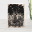 Search for buck cards Wildlife