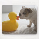 Search for bathroom mousepads Humour