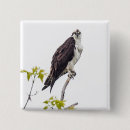 Search for stare badges Wildlife