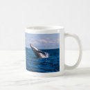 Search for humpback whale mugs Wildlife