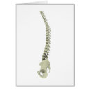 Search for vertebrae postcards Vertical
