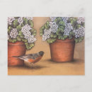 Search for red geraniums postcards White
