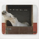 Search for care mousepads Horizontal