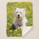 Search for westie blankets Puppy
