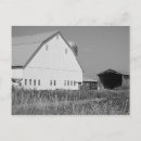 Search for vintage black and white postcards Farm