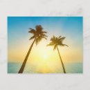 Search for tropical postcards Sea