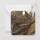 Search for owl note cards Nature
