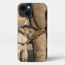 Search for conservative iphone cases Africa