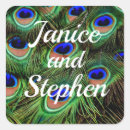 Search for peacock envelope seals Bird
