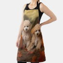 Search for poodle puppy aprons Pet