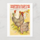 Search for poultry postcards Vintage