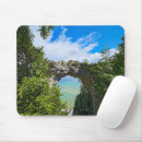 Search for huron mousepads Mackinac island