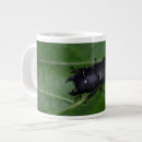 Search for beetles mugs Bug