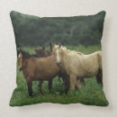 Search for mustang cushions Horse