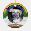 Search for rainbow bridge cat poem Pets