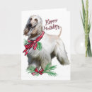 Search for hound dog christmas cards Animals