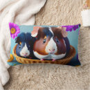 Search for guinea pig cushions Animal