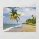 Search for st kitts and nevis postcards Caribbean