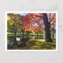 Search for connecticut postcards Pond
