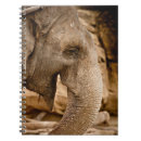 Search for elephant notebooks Wildlife