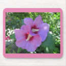 Search for hibiscus photo electronics Garden