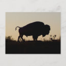 Search for oklahoma postcards Silhouette
