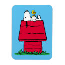 Search for peanuts magnets Woodstock