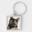 Search for cat hair key rings Cats