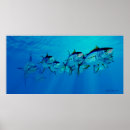 Search for marlin posters Tuna