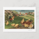 Search for eastertide Chicks