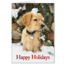 Search for labrador retriever christmas cards Snow