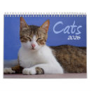 Search for cat lovers gifts Cute