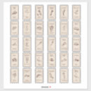 Search for vintage apothecary labels Herbs