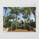 Search for coconuts postcards Florida