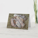 Search for pig pic cards Piglet