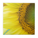 Search for summer sunflower tiles Sunny
