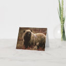 Search for grizzly bear cards Animal