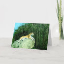 Search for cat family christmas cards Animals