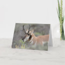 Search for danita delimont cards Grand teton national park