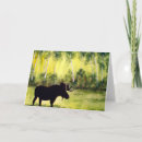 Search for mammals cards Watercolor
