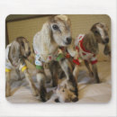 Search for pjs mousepads Pyjamas