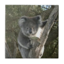 Search for cuddly tiles Bear