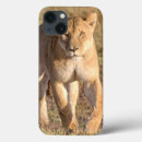 Search for carnivore cases Feline