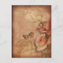 Search for vintage butterfly postcards Nature