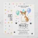 Search for lets pawty Dogs