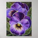 Search for pansies art Purple flowers