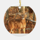Search for whitetail deer christmas tree decorations White tailed deer
