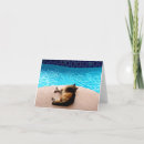 Search for dog graduation invitations Animal